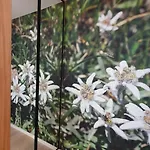 Panska Polana Apartamenty - Sala Zabaw, Duzy Ogrod, Las, Miejsce Na Grilla, Prywatny Parking Białka Tatrzańska