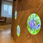 Apartman Panska Polana Apartamenty - Sala Zabaw, Duzy Ogrod, Las, Miejsce Na Grilla, Prywatny Parking *