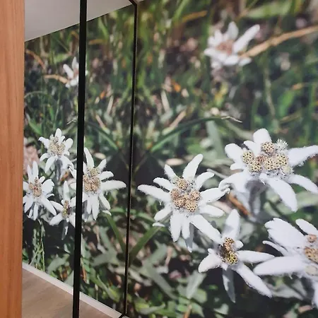 Panska Polana - Sala Zabaw, Duzy Ogrod, Las, Miejsce Na Grilla, Prywatny Parking Białka Tatrzańska
