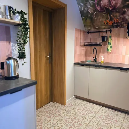 Panska Polana - Sala Zabaw, Duzy Ogrod, Las, Miejsce Na Grilla, Prywatny Parking ビャウカ